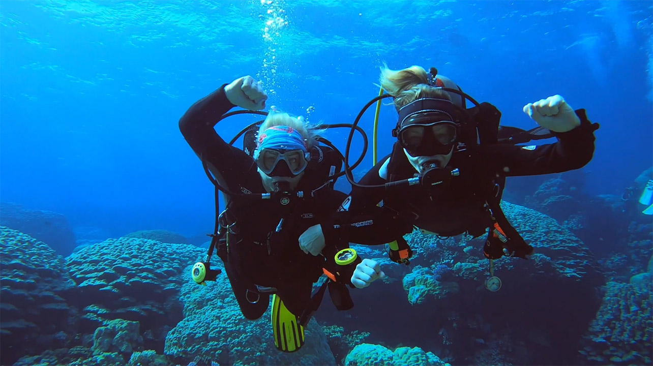 Dive Buddy Day at AMASIS